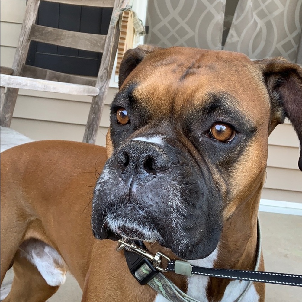 Meet your Posher, Rainee